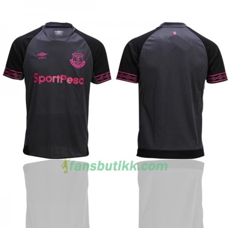 Fotballdrakt Everton Bortetrøye 2018-2019 Kortermet